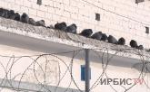Заключённым пытались передать телефоны, зарядки и наушники в колонию Павлодара